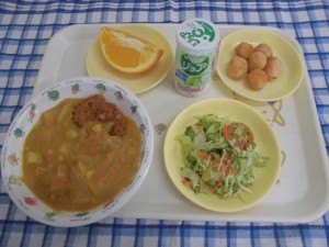 カツカレー・福神あえ・オレンジ ≪おやつ≫　ジョア・きなこだんご