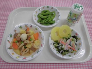 野菜の含め煮・甘酢あえ・パイン ≪おやつ≫　ジョア（白ブドウ味）・枝豆